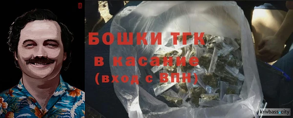 ешки Арсеньев