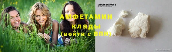 прущие грибы Аркадак