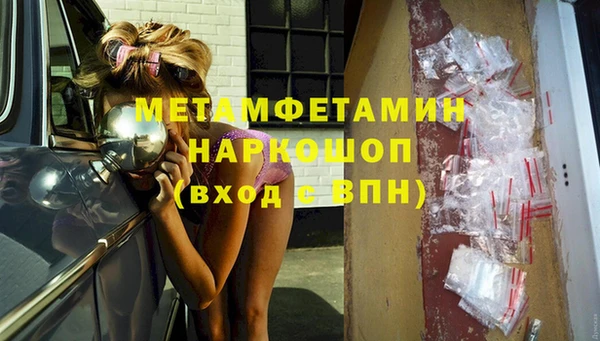 прущие грибы Аркадак