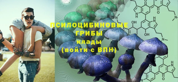 прущий лед Армянск
