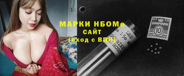 прущие грибы Аркадак