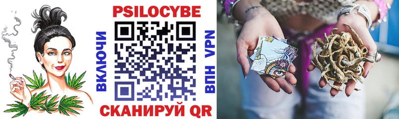Галлюциногенные грибы Cubensis  Терек 